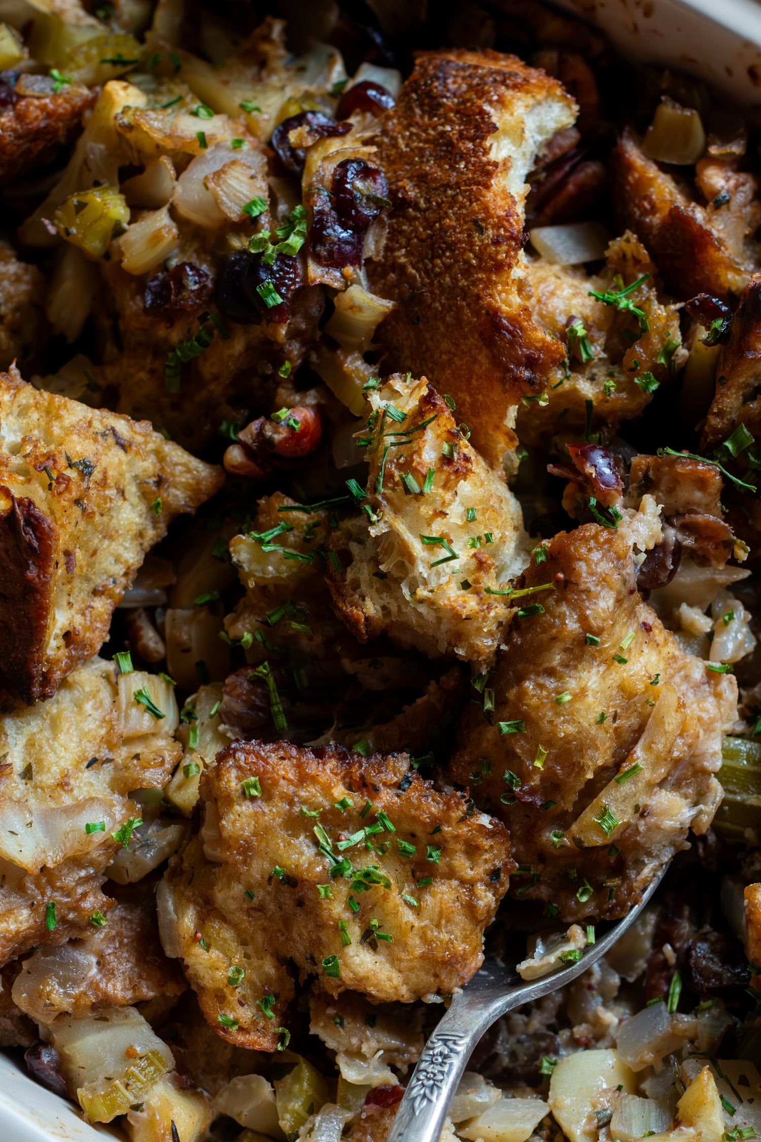 A close-up of citrus and cranberry stuffing.