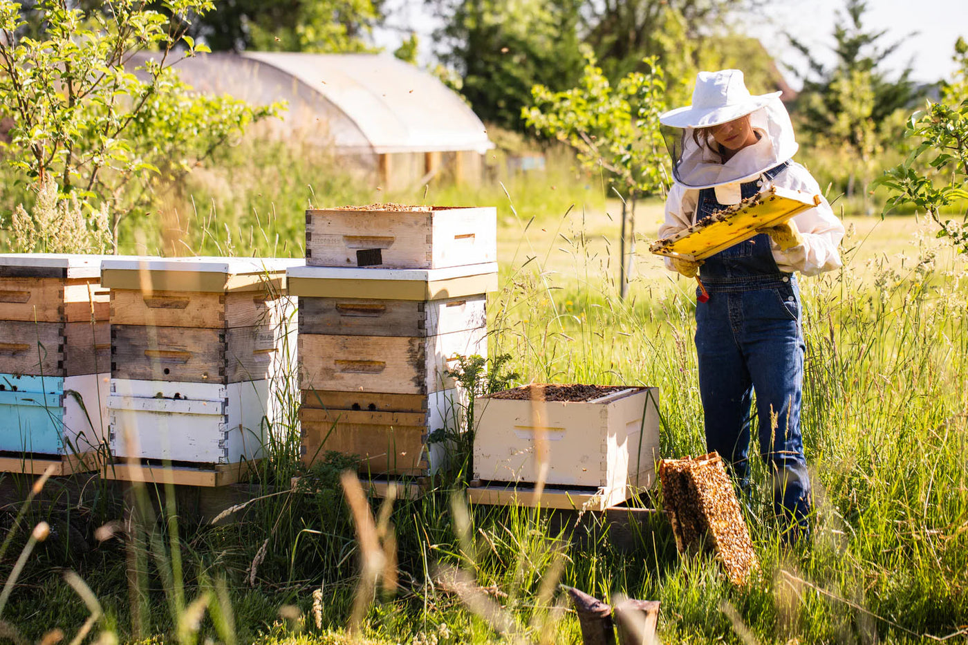  Lead Beekeeper Emily Schmiedel in her beekeeping gear, in a sunny field next to wooden beekeeping boxes.