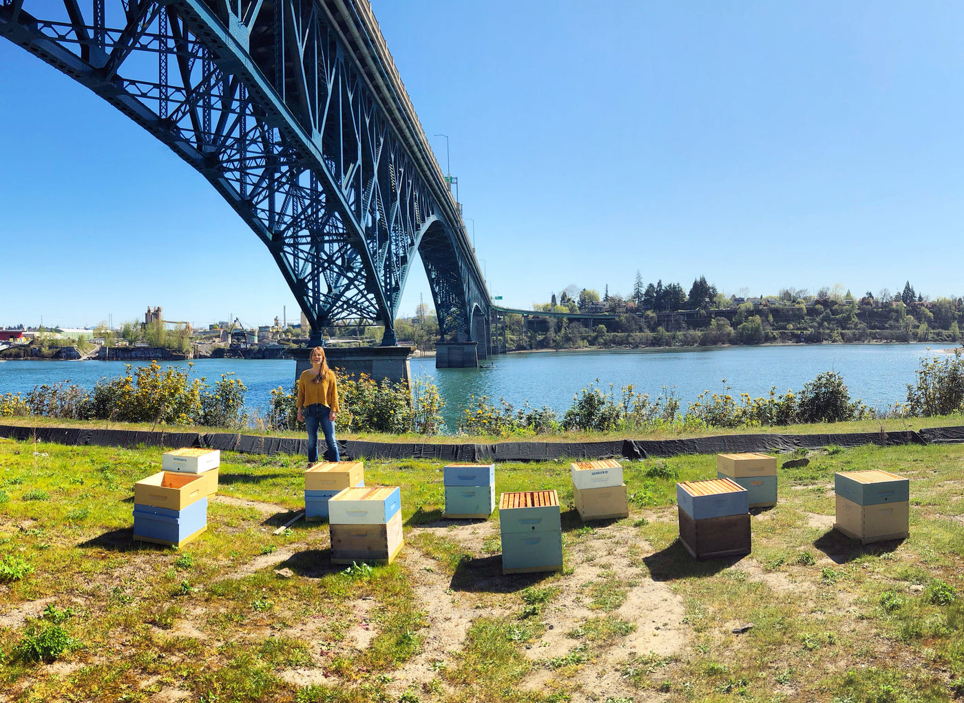 A woman stands amongst bee apiaries under a bridge in Portland, Oregon.