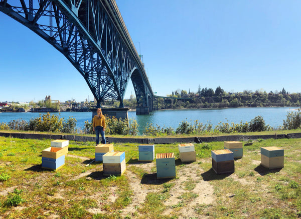 A woman stands amongst bee apiaries under a bridge in Portland, Oregon.