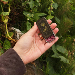 A hand holding an open metal tin of dried mushrooms outdoors, with green foliage in the background. The tin has a dark brown lid with gold mushroom illustrations and shows pink pinot noir salt inside.