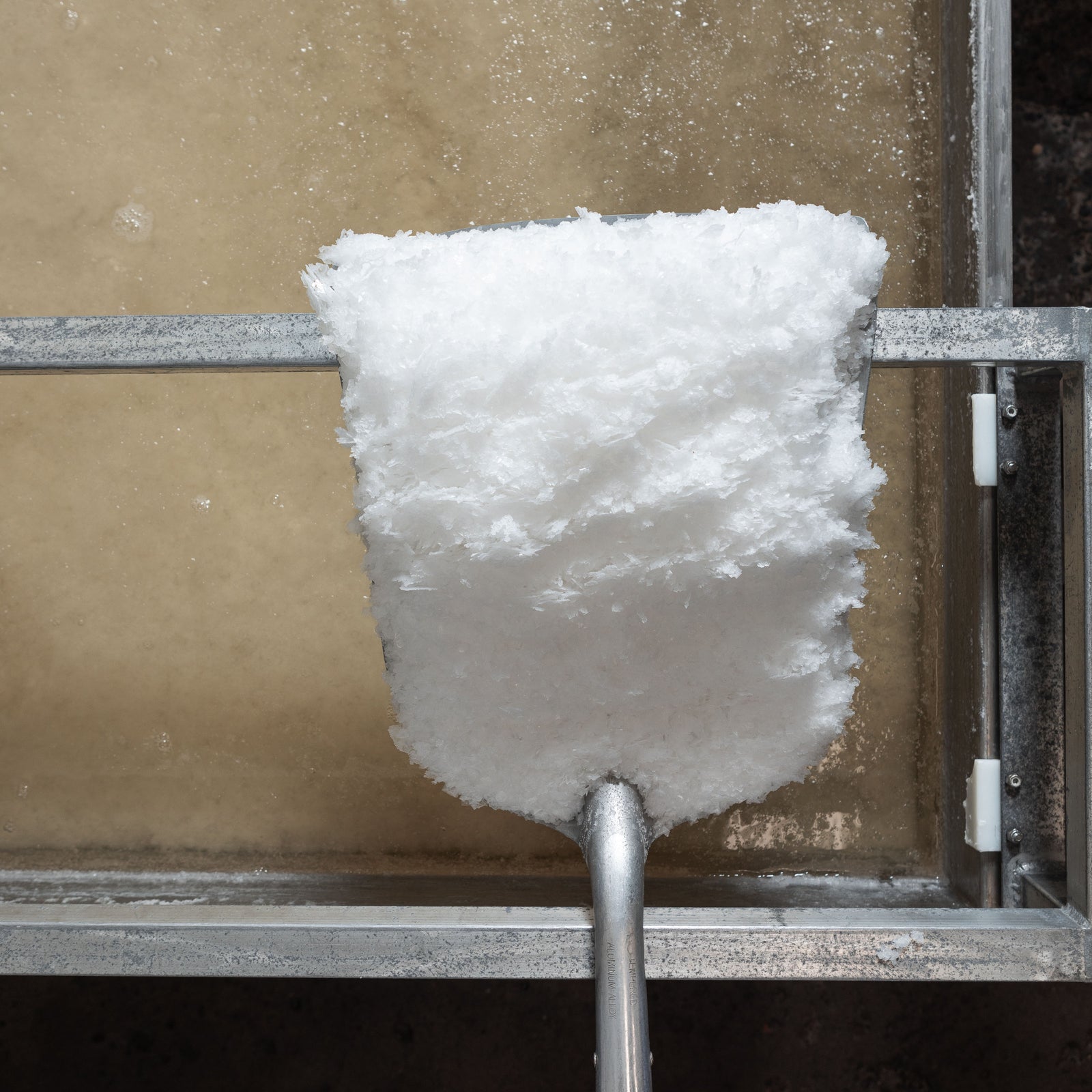 A large harvesting shovel filled with freshly scooped pure sea salt, over an evaporation pan filled with salt water. Tiny, translucent salt crystals cover the surface of the water. 